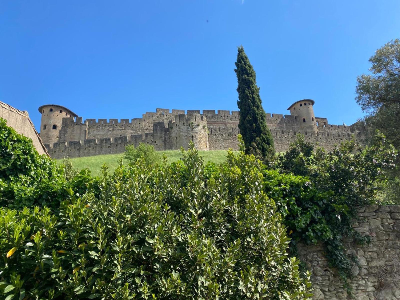 Villa Les chemins de la Cité Carcassonne Esterno foto